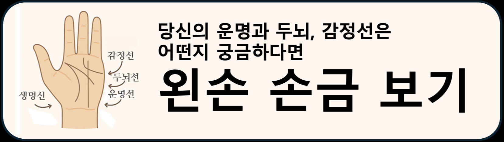 왼손 손금보기